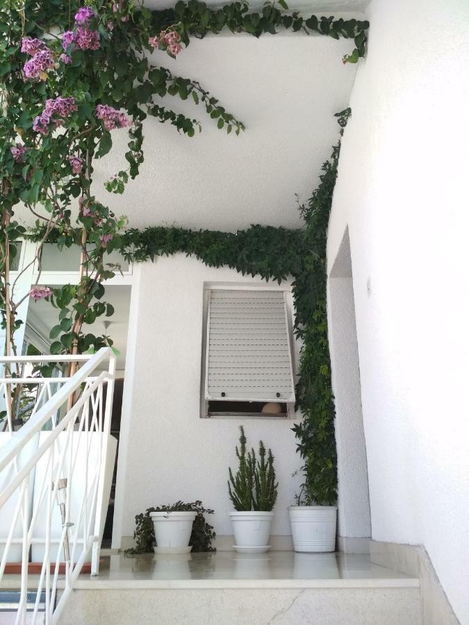 Apartmani Carević Baška Voda Exterior foto